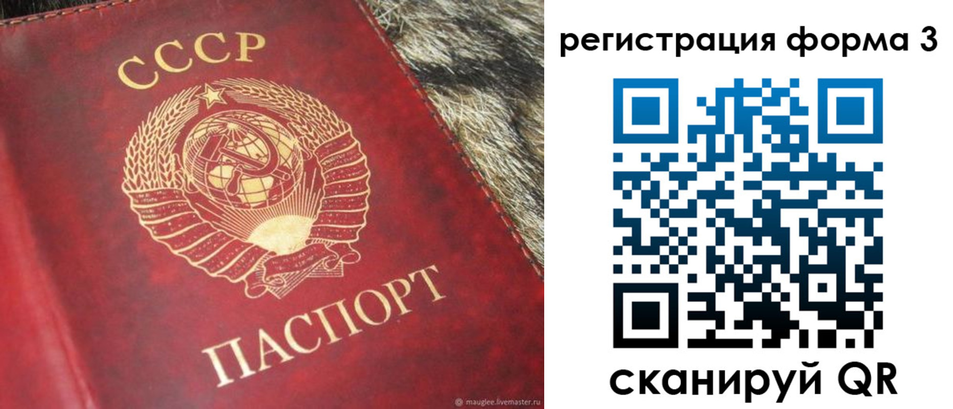 прописка регистрация в Железногорске